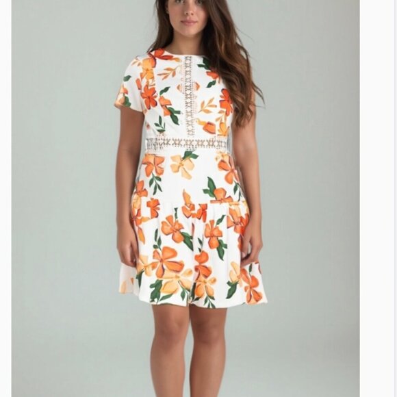 Alexia Admor A-Line Lace Trim Mini Dress Orange Floral Women’s 10 BNWOT - Picture 1 of 14